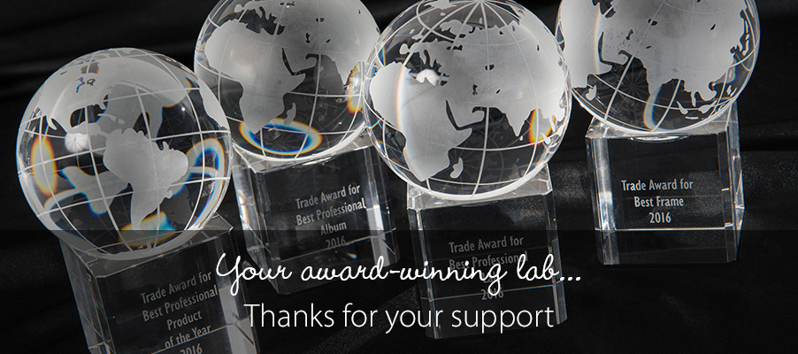 Your award winning lab...