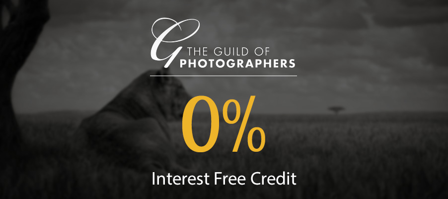 The Guild interest free credit